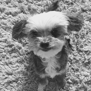 Meet your Posher, Morgan